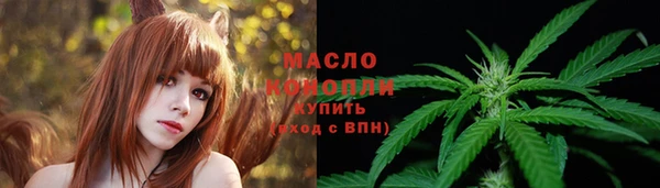 дживик Абаза